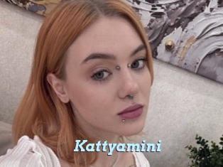 Kattyamini