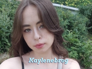 Kaylenebrog
