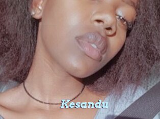 Kesandu
