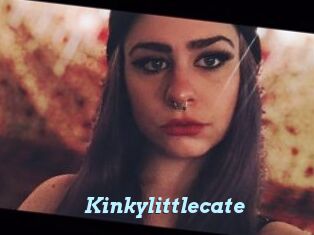 Kinkylittlecate