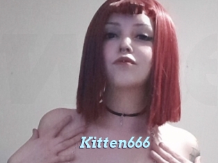 Kitten666