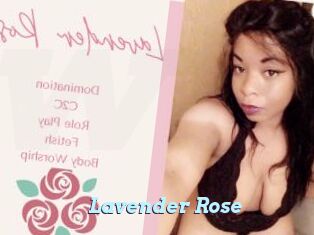 Lavender_Rose