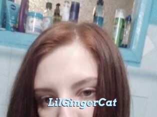 LilGingerCat