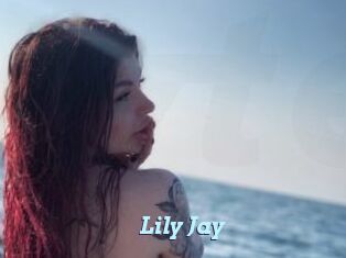 Lily_Jay