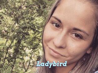 Ladybird