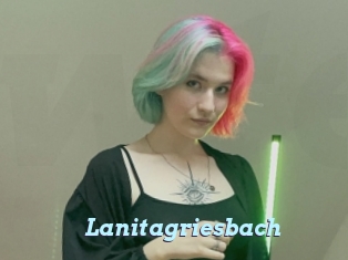 Lanitagriesbach