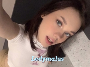 Ledymalus