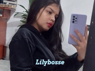 Lilybosse