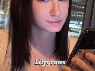 Lilygrows