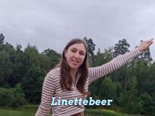 Linettebeer