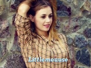 Littlemouuse