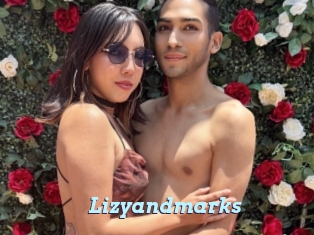 Lizyandmarks