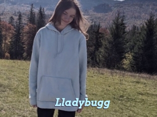 Lladybugg