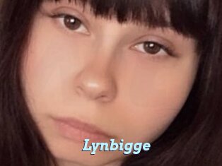 Lynbigge