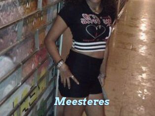 Meesteres