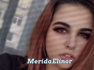 MeridaElinor