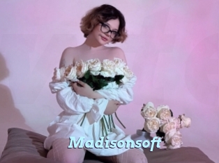 Madisonsoft