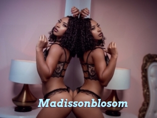madissonblosom Webcam Teen