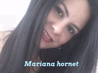 Mariana_hornet