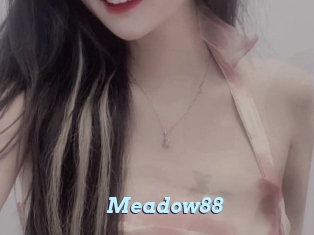 meadow88 Webcam Teen