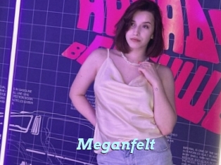 Meganfelt