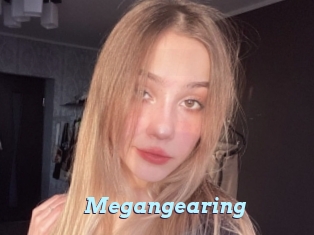 Megangearing