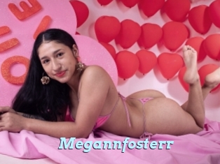 Megannfosterr
