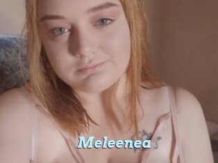 Meleenea