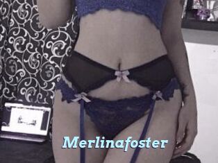 Merlinafoster