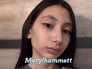 Merylhammett