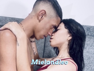 Mielandleo