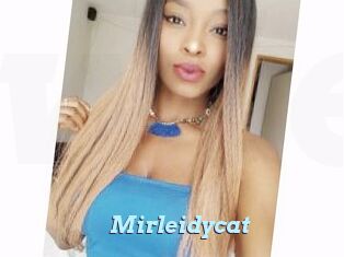 Mirleidycat