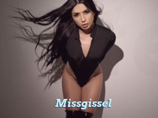Missgissel