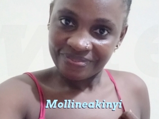 Mollineakinyi