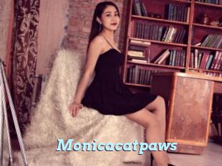 Monicacatpaws