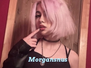 Morgansnus