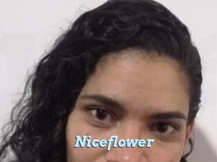 Nice_flower