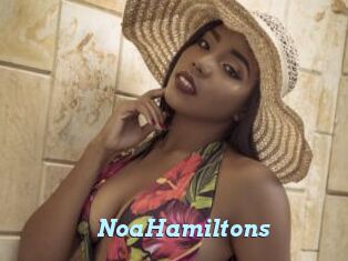 NoaHamiltons