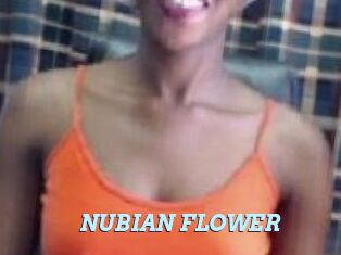 _NUBIAN_FLOWER_