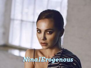 NinaIErogenous