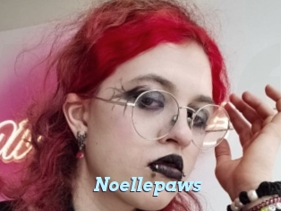 Noellepaws