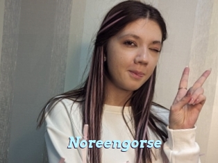 Noreengorse