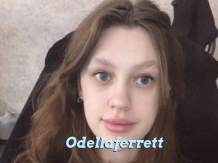 Odellaferrett