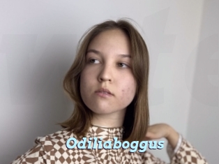 Odiliaboggus