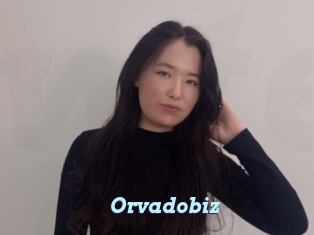Orvadobiz