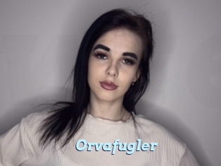 Orvafugler