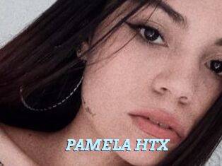 PAMELA_HTX