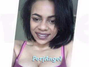 PerfAngel
