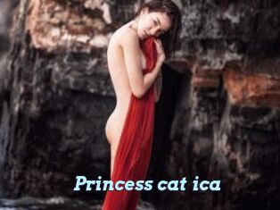 Princess_cat_ica