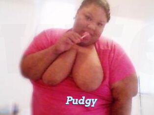 Pudgy